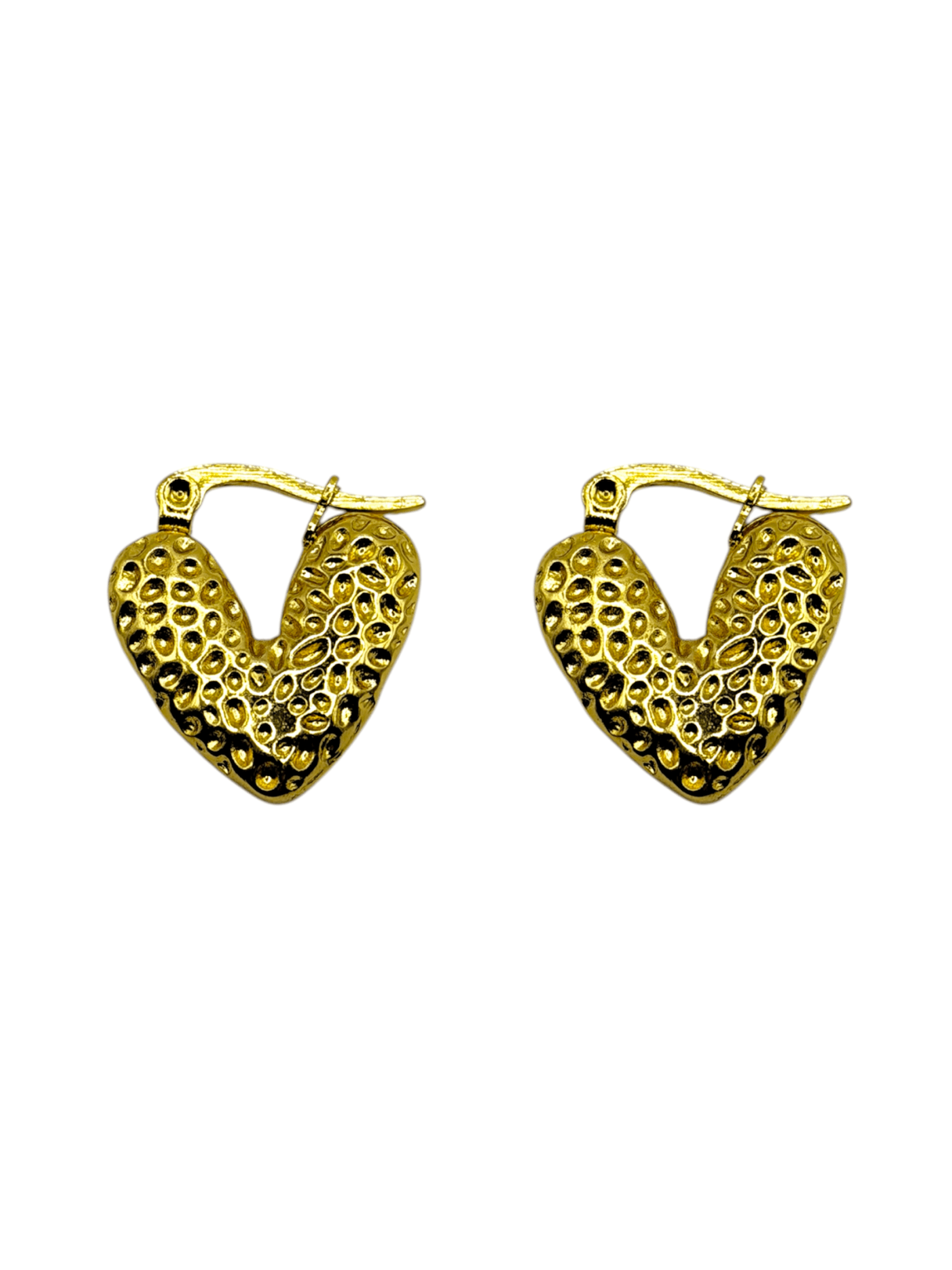 Earrings - Chic Mood